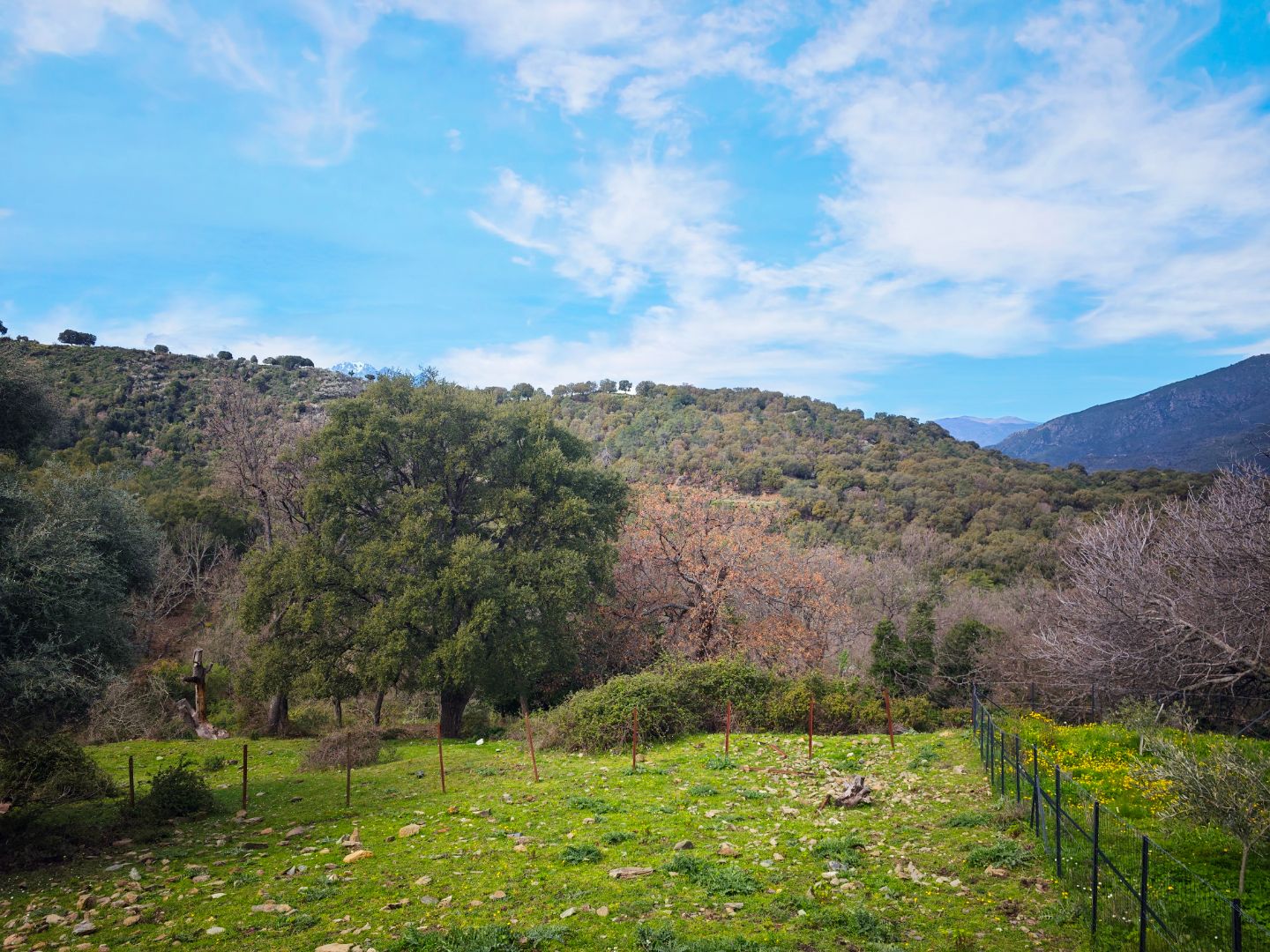 Maison à rénover à vendre  - 38.8m2 - Valle Di Rostino (20235)