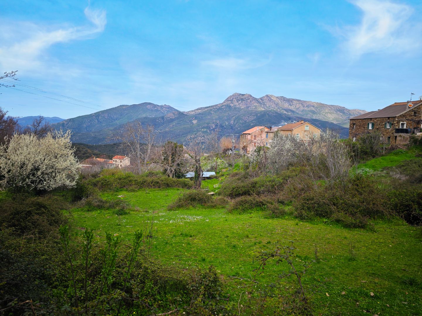 Terrain constructible à vendre  - 1603m2 - Valle Di Rostino (20235)