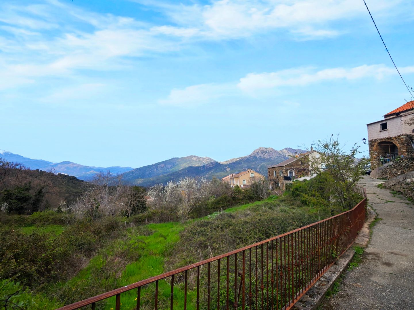 Terrain constructible à vendre  - 1603m2 - Valle Di Rostino (20235)