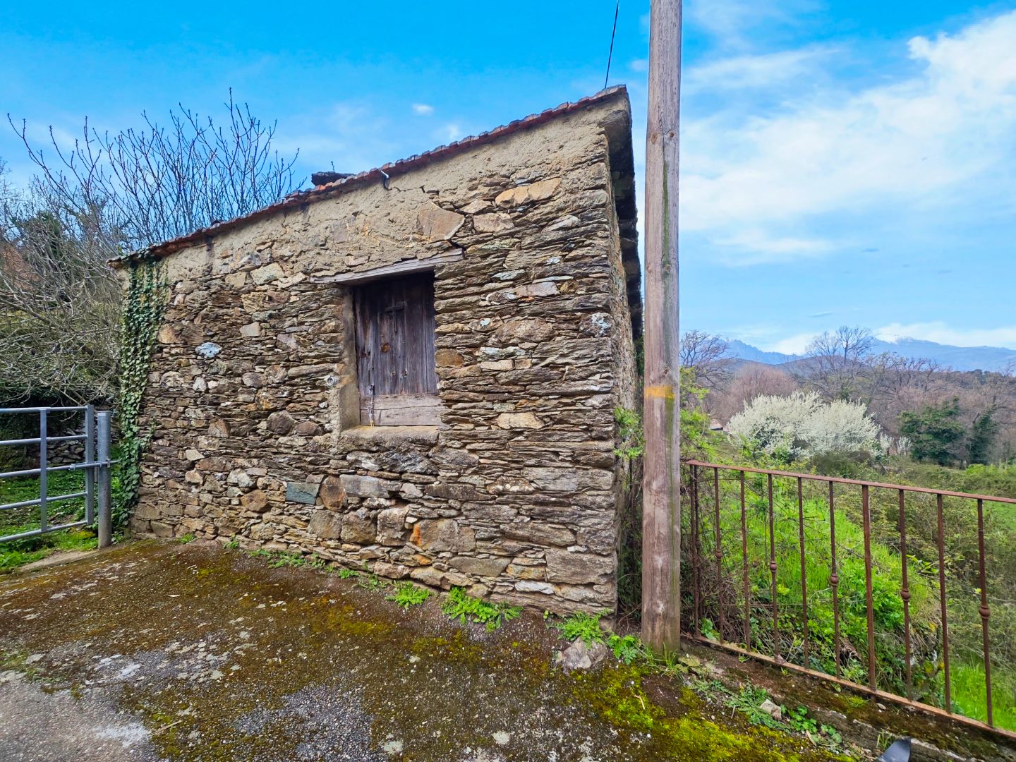 Terrain constructible à vendre  - 1603m2 - Valle Di Rostino (20235)