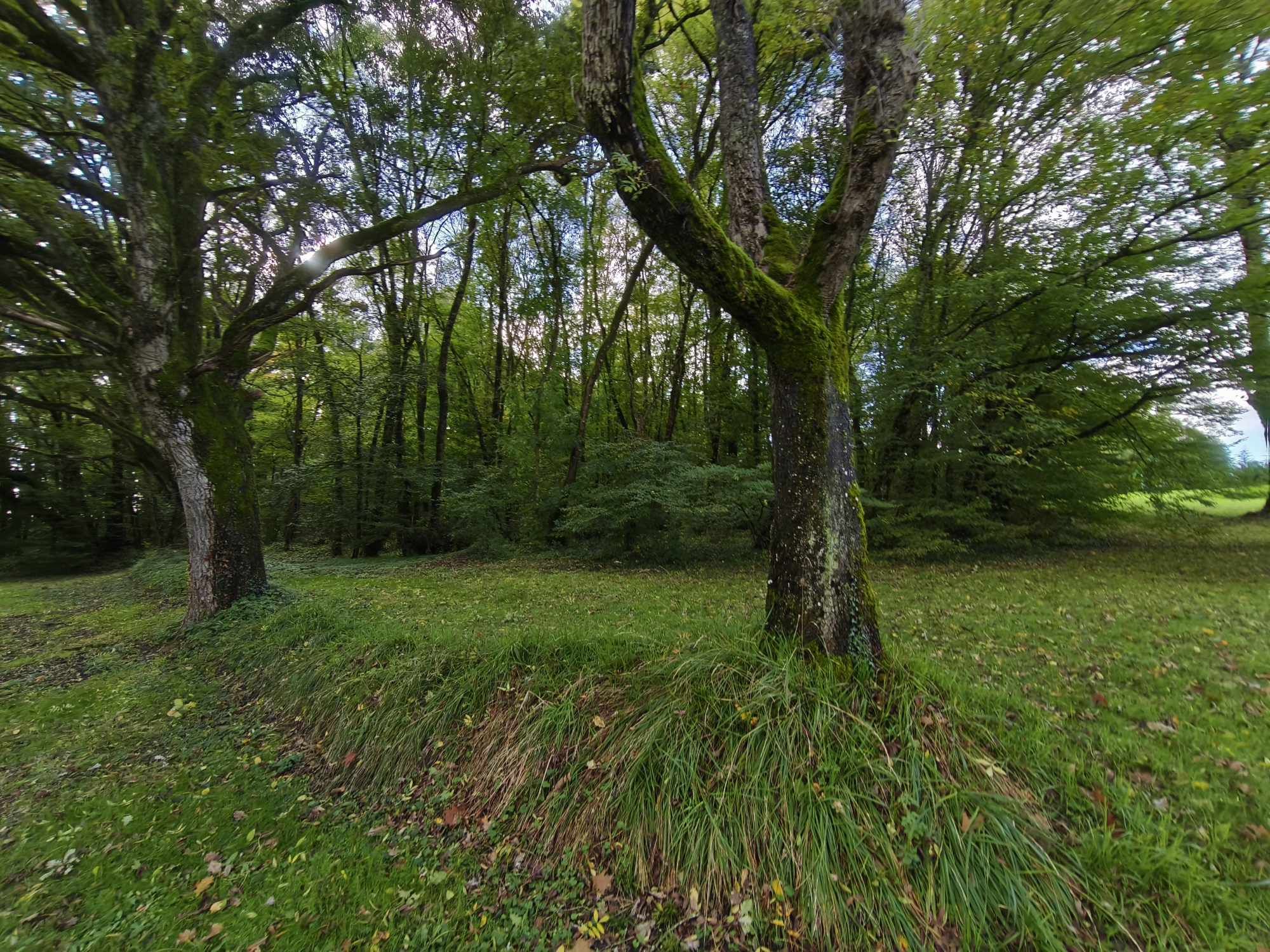 Longere à vendre  - 10 pièce(s) - 286m2 - Méry-sur-cher (18100)