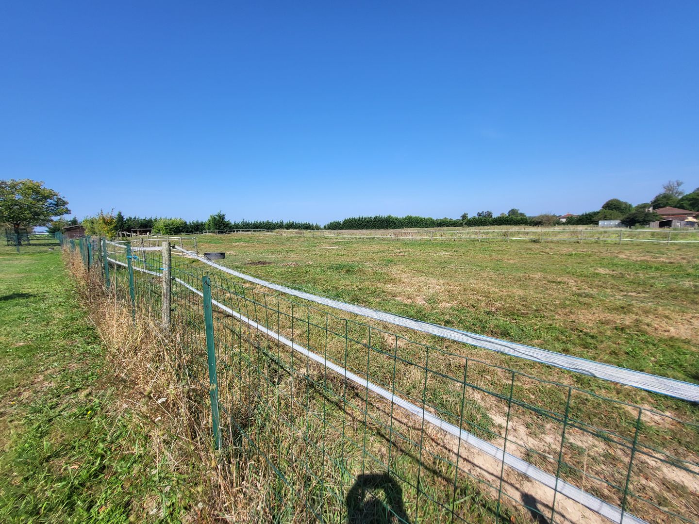 Maison à vendre  - 7 pièce(s) - 265m2 - Vonnas (01540)