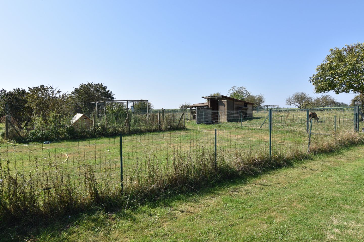 Maison à vendre  - 7 pièce(s) - 265m2 - Vonnas (01540)