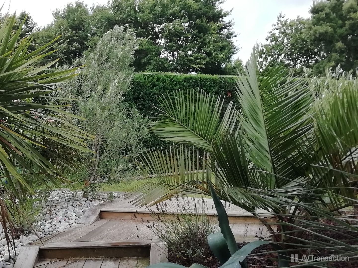 Maison à vendre  - 5 pièce(s) - 134m2 - Tosse (40230)