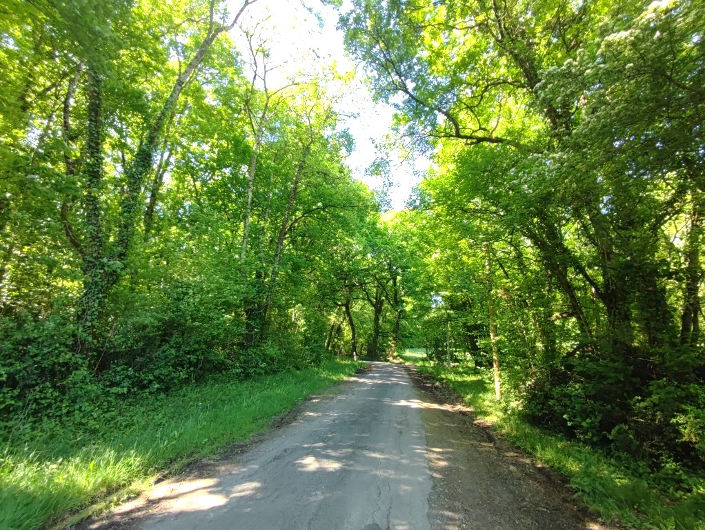 Maison à vendre  - 5 pièce(s) - 150m2 - Medis (17600)