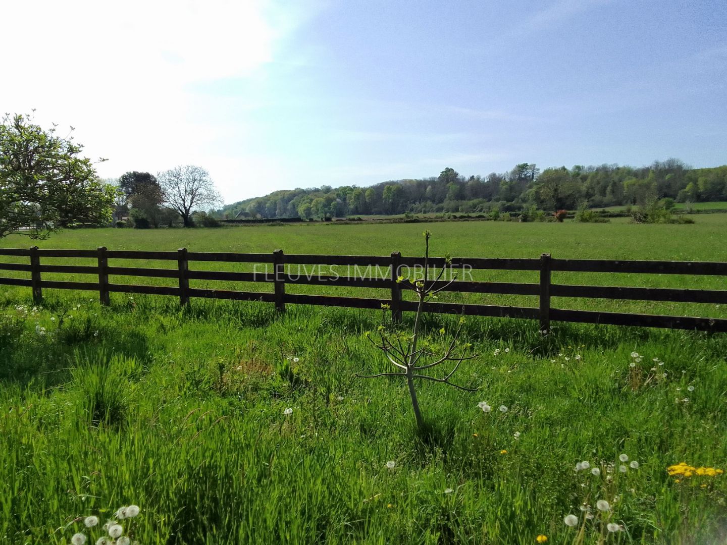 Terrain constructible à vendre  - 10805m2 - Navarrenx (64190)