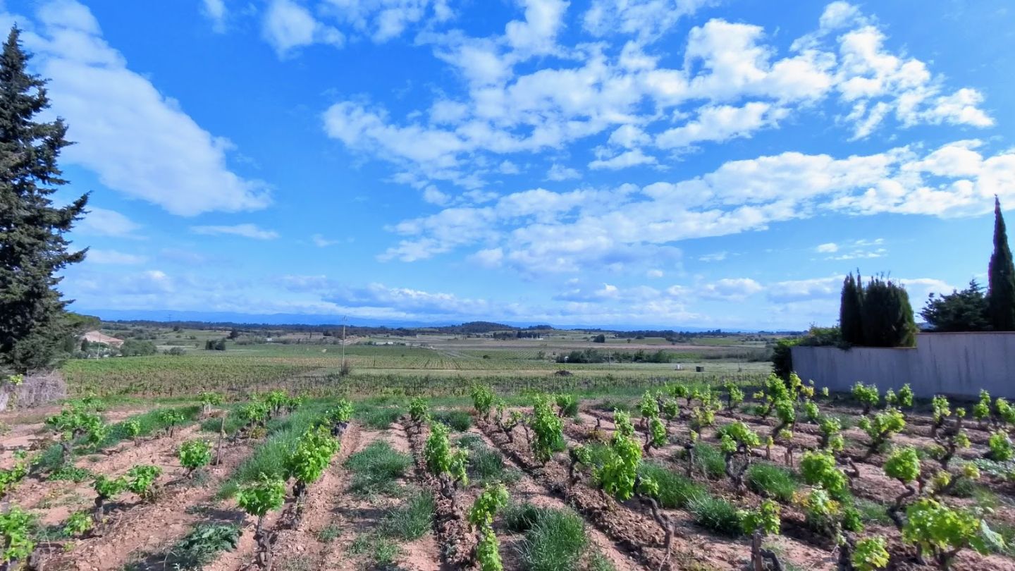 Maison de caractère à vendre  - 5 pièce(s) - 90m2 - Montbrun-des-corbières (11700)