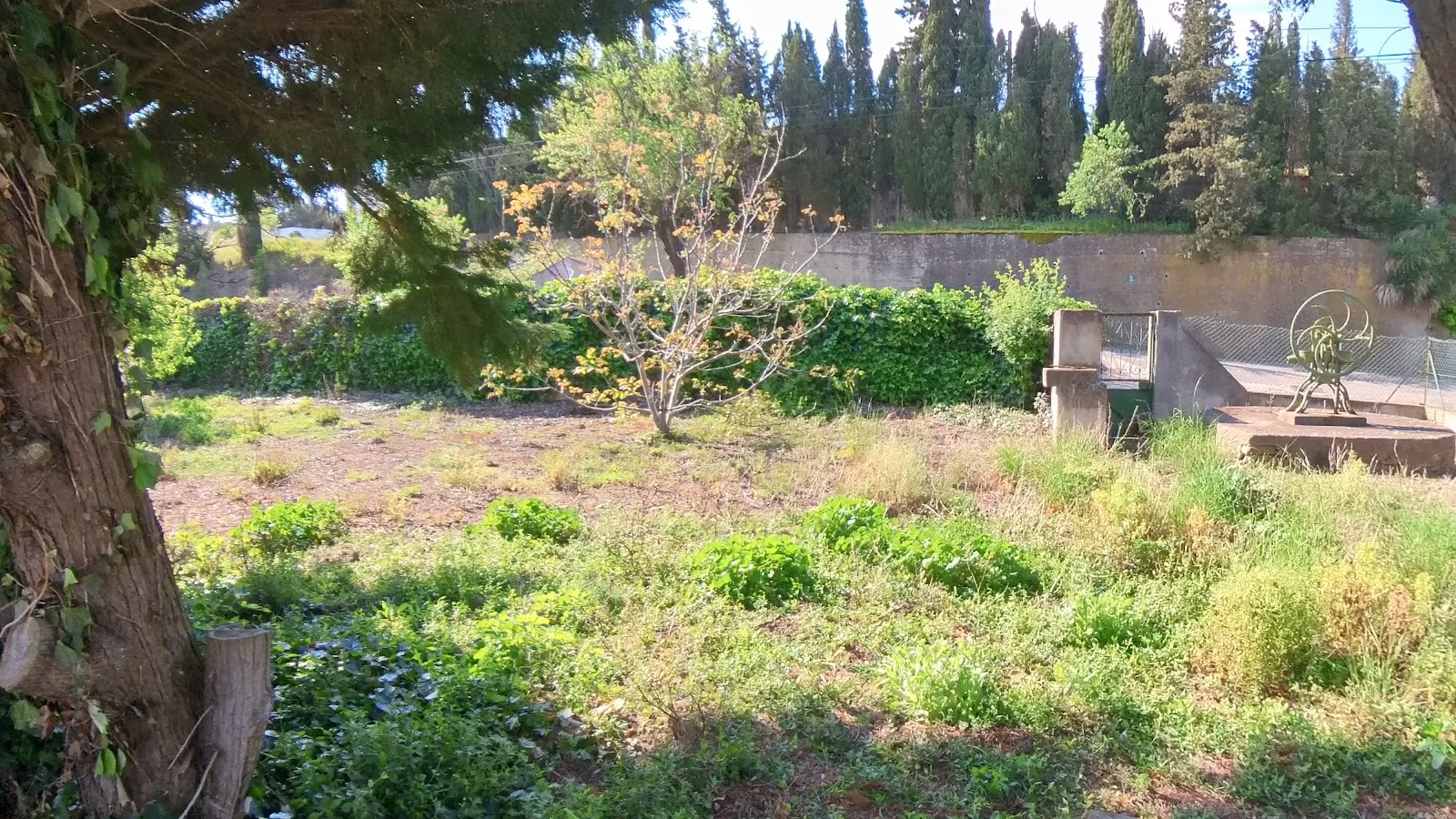 Maison de caractère à vendre  - 5 pièce(s) - 90m2 - Montbrun-des-corbières (11700)