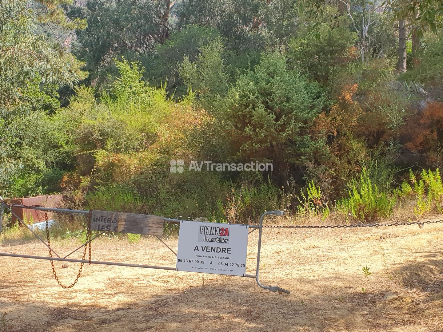 Terrain constructible 6400m² Porto- centre Ouest Corse