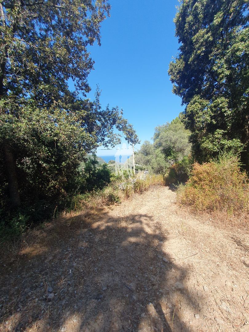Terrain constructible à vendre  - 9090m2 - Ota (20150)