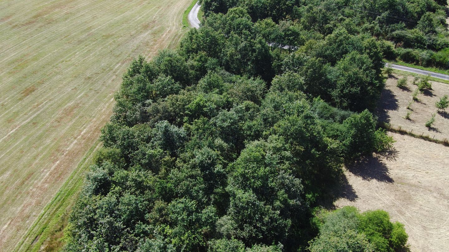 Fermette à vendre  - 4 pièce(s) - 106m2 - Mur-de-sologne (41230)