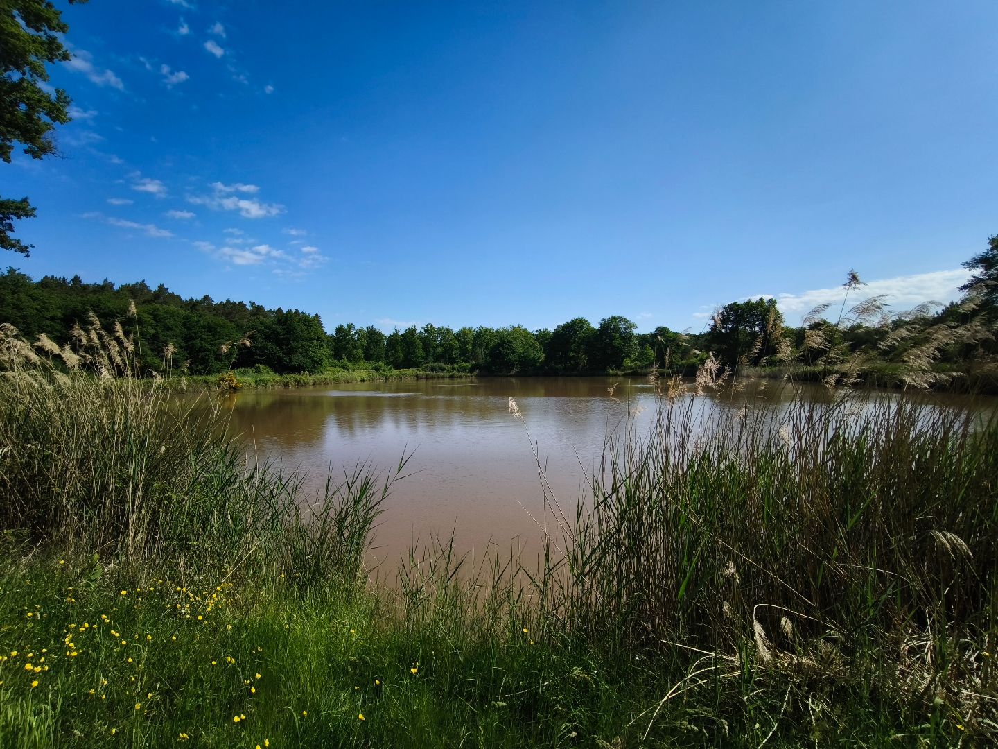 Terrain de loisir à vendre  - 25600m2 - Mur-de-sologne (41230)