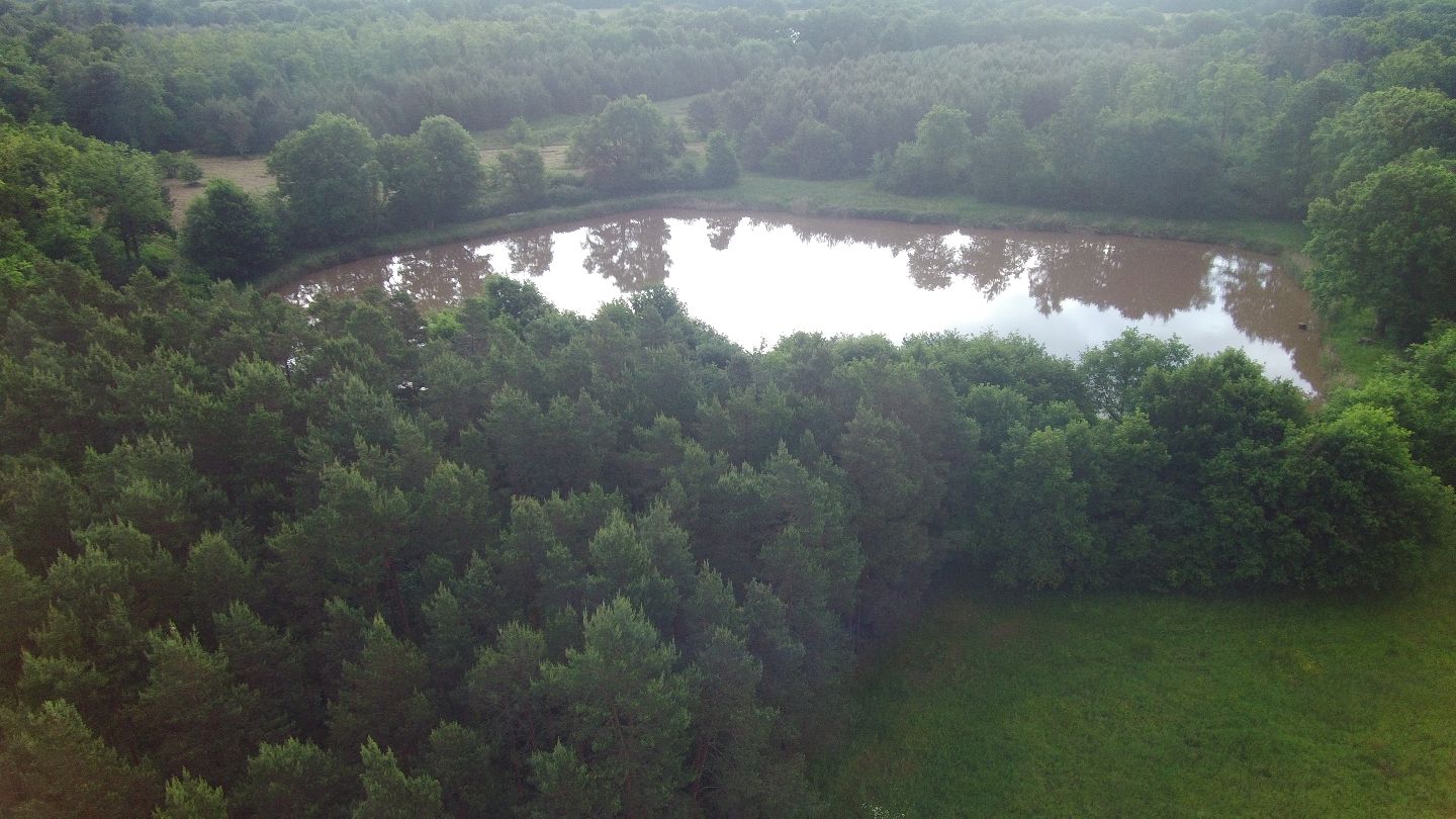 Terrain de loisir à vendre  - 25600m2 - Mur-de-sologne (41230)