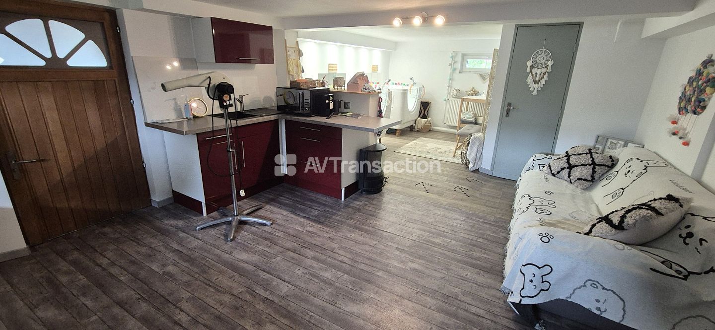 Maison à vendre  - 4 pièce(s) - 134m2 - Illkirch-graffenstaden (67400)