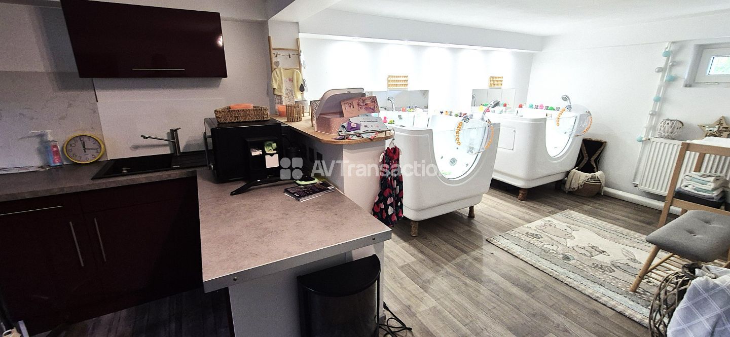 Maison à vendre  - 4 pièce(s) - 134m2 - Illkirch-graffenstaden (67400)