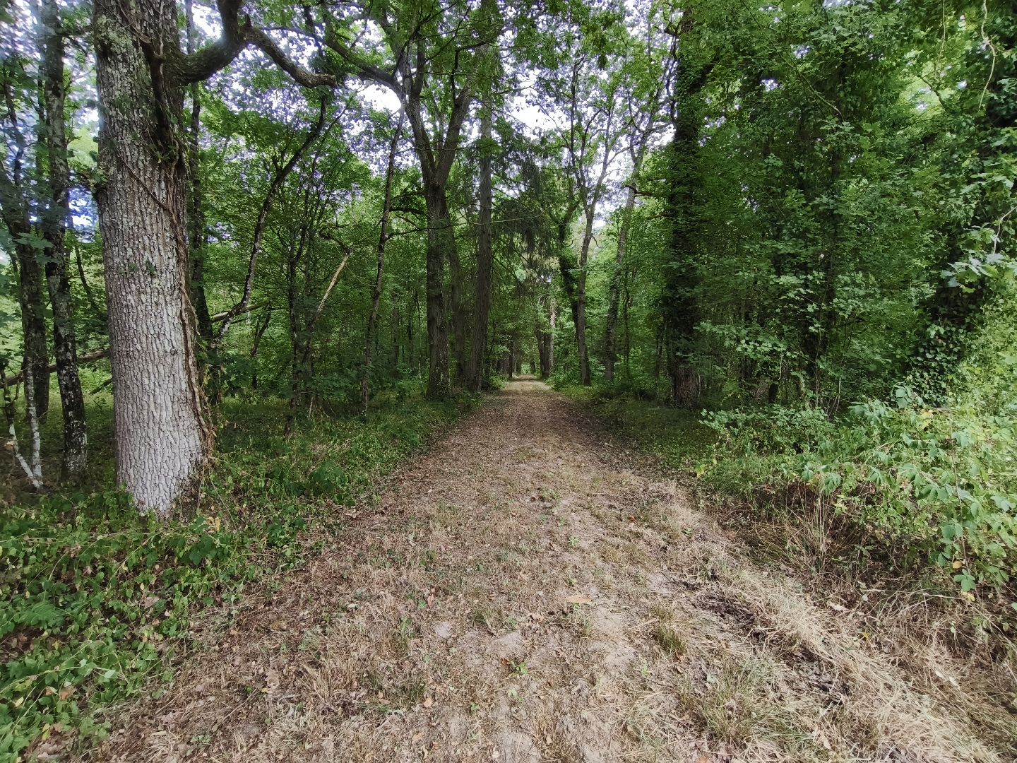 Maison de maître à vendre  - 15 pièce(s) - 267m2 - Romorantin-lanthenay (41200)