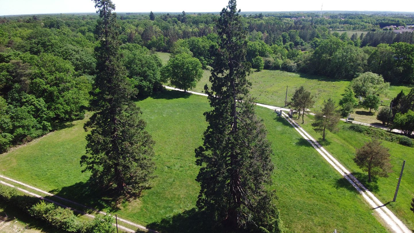 Propriété forestière à vendre  - 15 pièce(s) - 267m2 - Romorantin-lanthenay (41200)