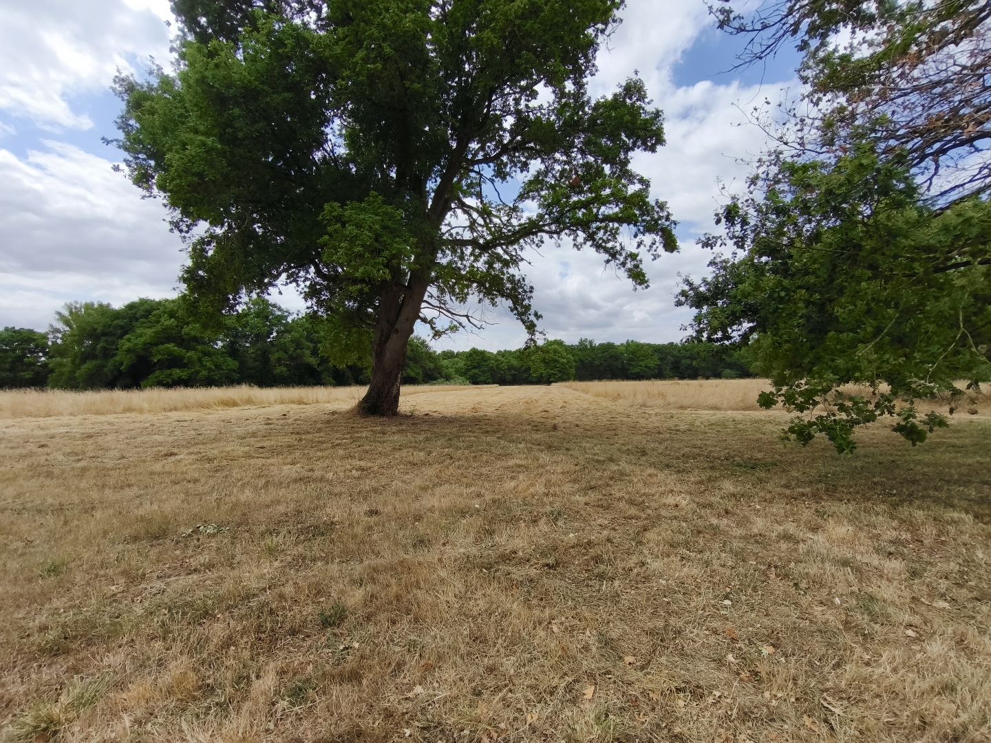 Maison de maître à vendre  - 15 pièce(s) - 267m2 - Romorantin-lanthenay (41200)