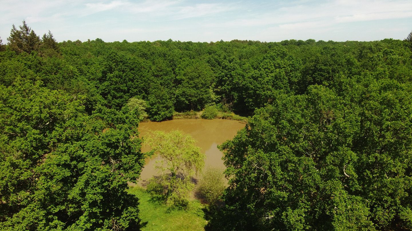 Propriété forestière à vendre  - 15 pièce(s) - 267m2 - Romorantin-lanthenay (41200)