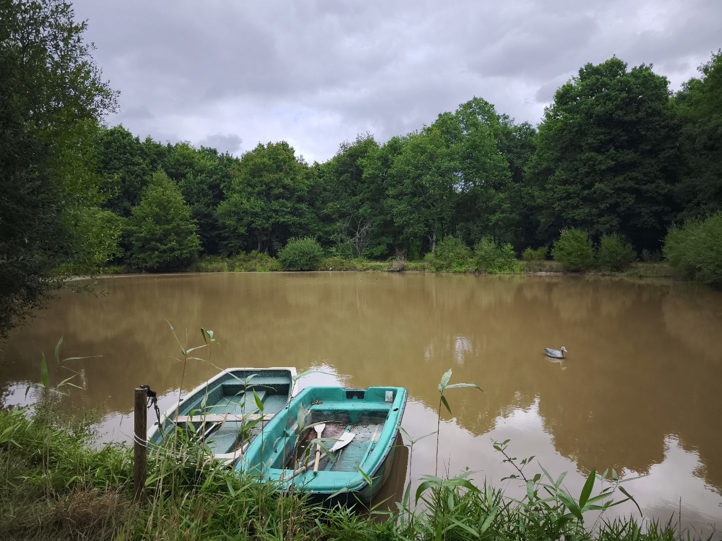 Maison de maître à vendre  - 15 pièce(s) - 267m2 - Romorantin-lanthenay (41200)