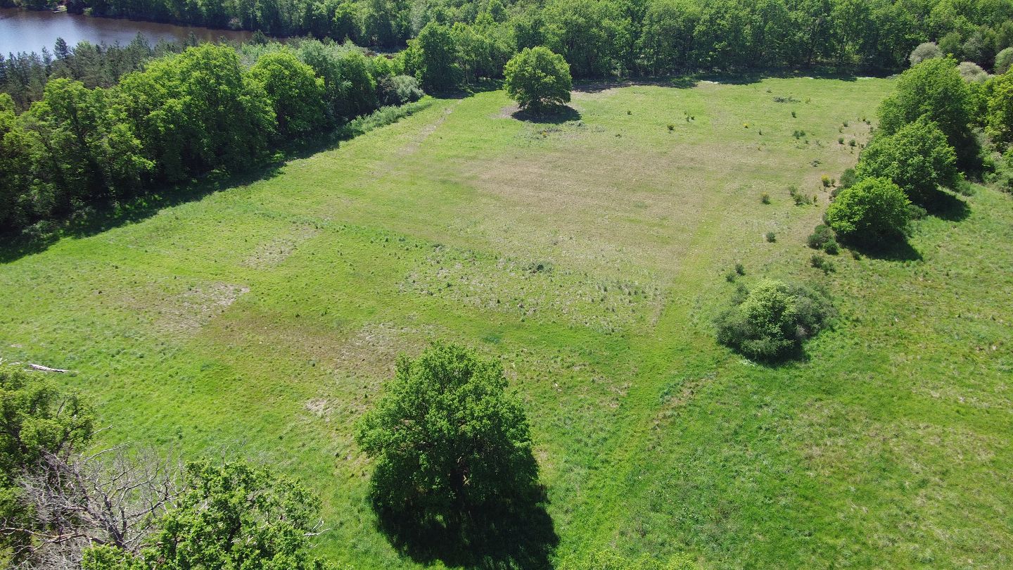 Propriété forestière à vendre  - 15 pièce(s) - 267m2 - Romorantin-lanthenay (41200)