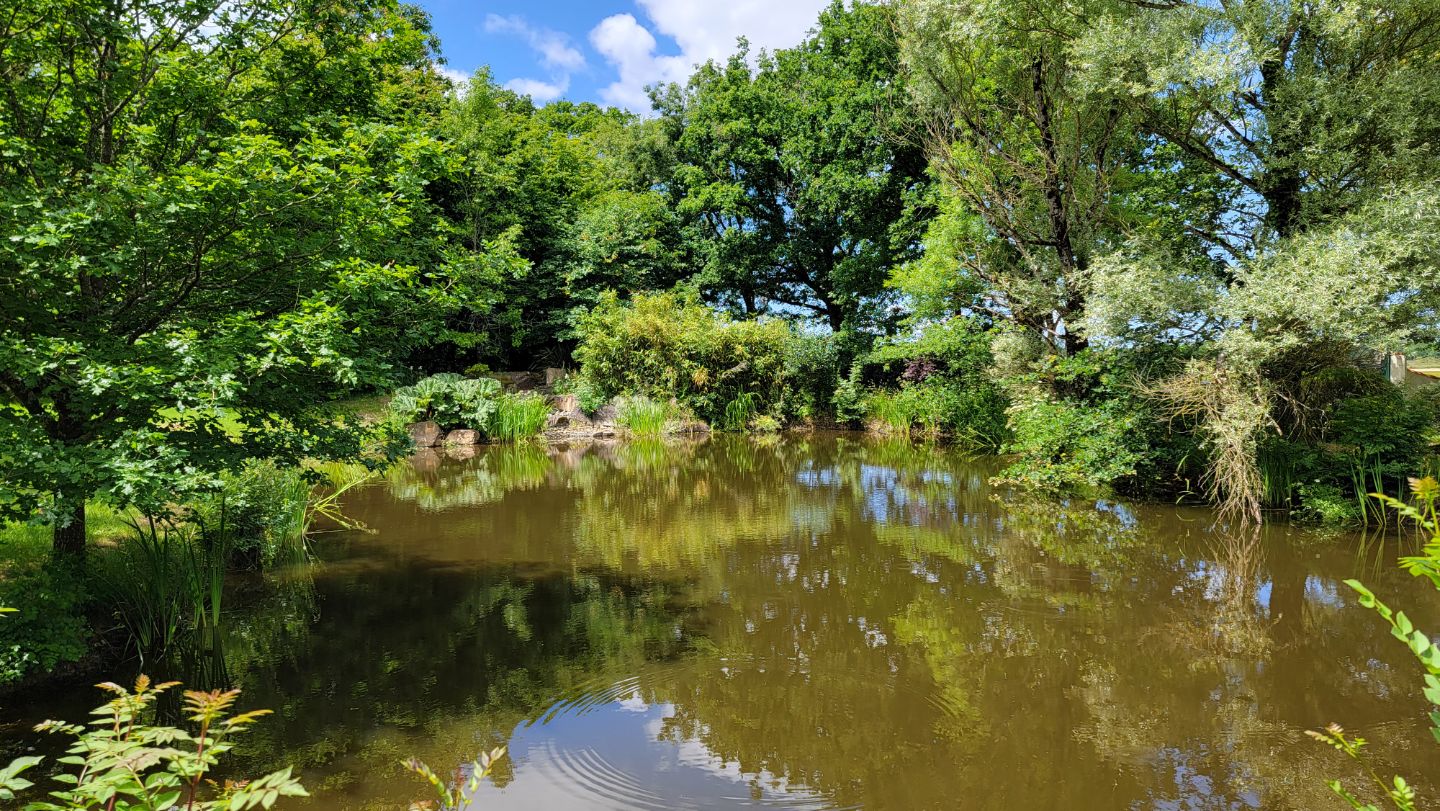 Maison à vendre  - 5 pièce(s) - 130m2 - La Garnache (85710)