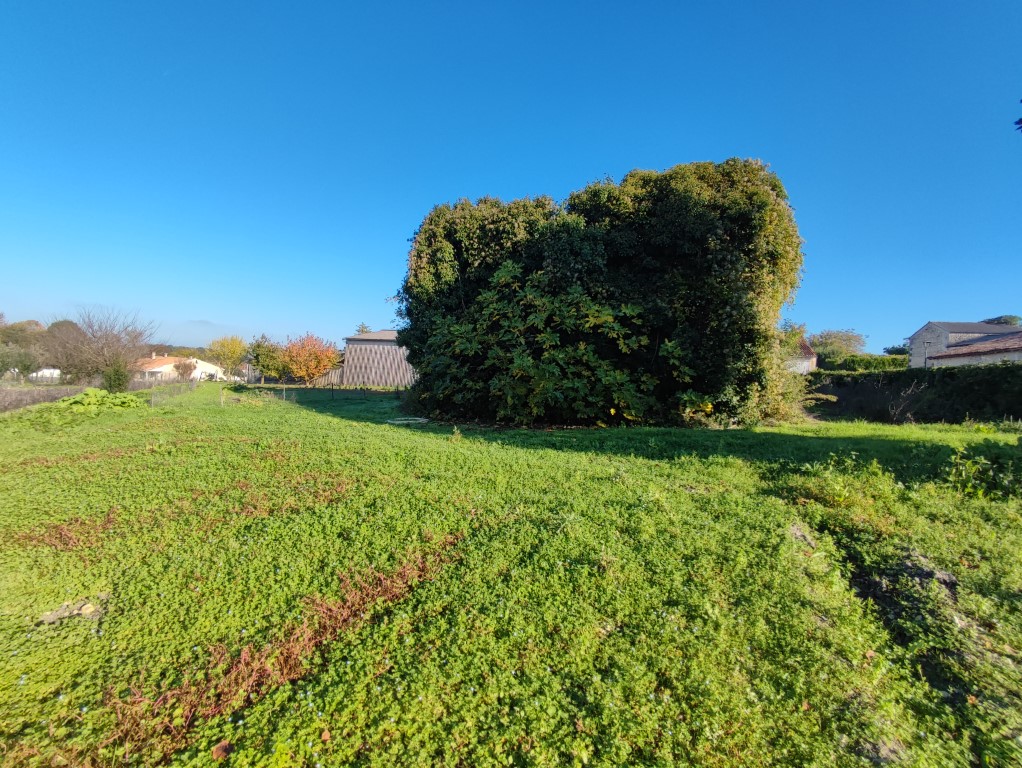 Terrain constructible à vendre  - 1563m2 - Echebrune (17800)