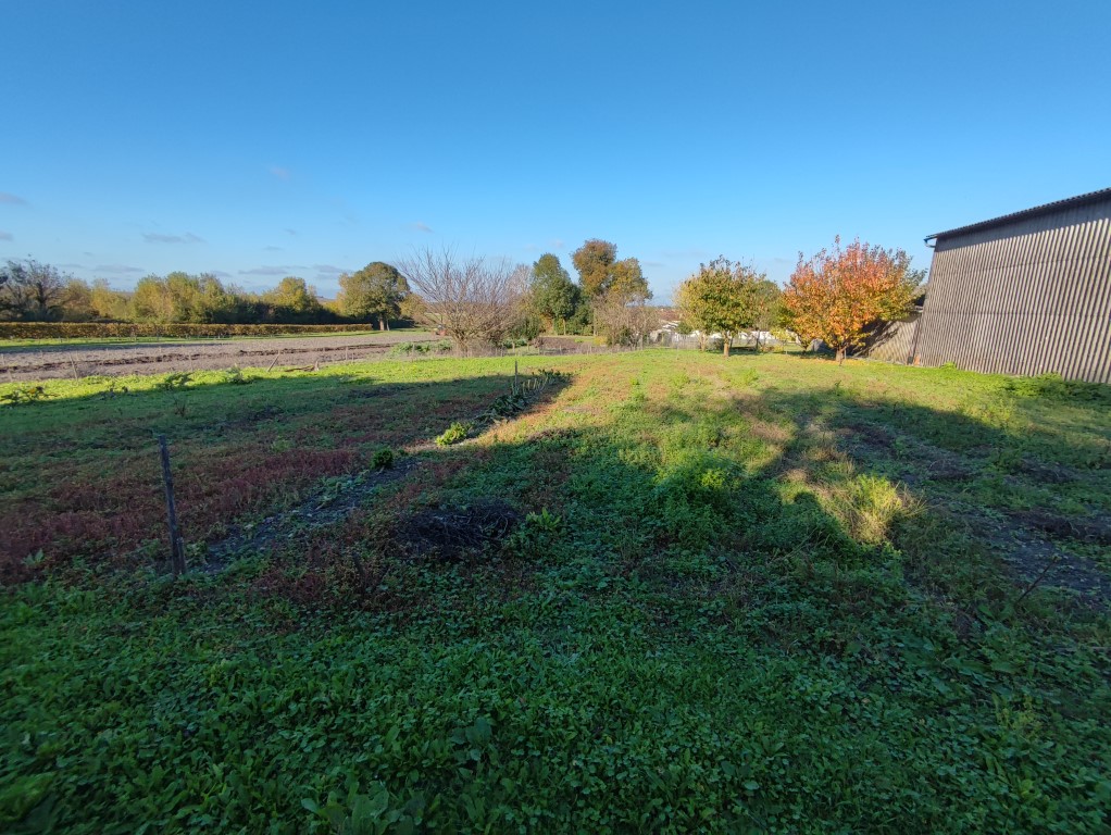 Terrain constructible à vendre  - 1563m2 - Echebrune (17800)