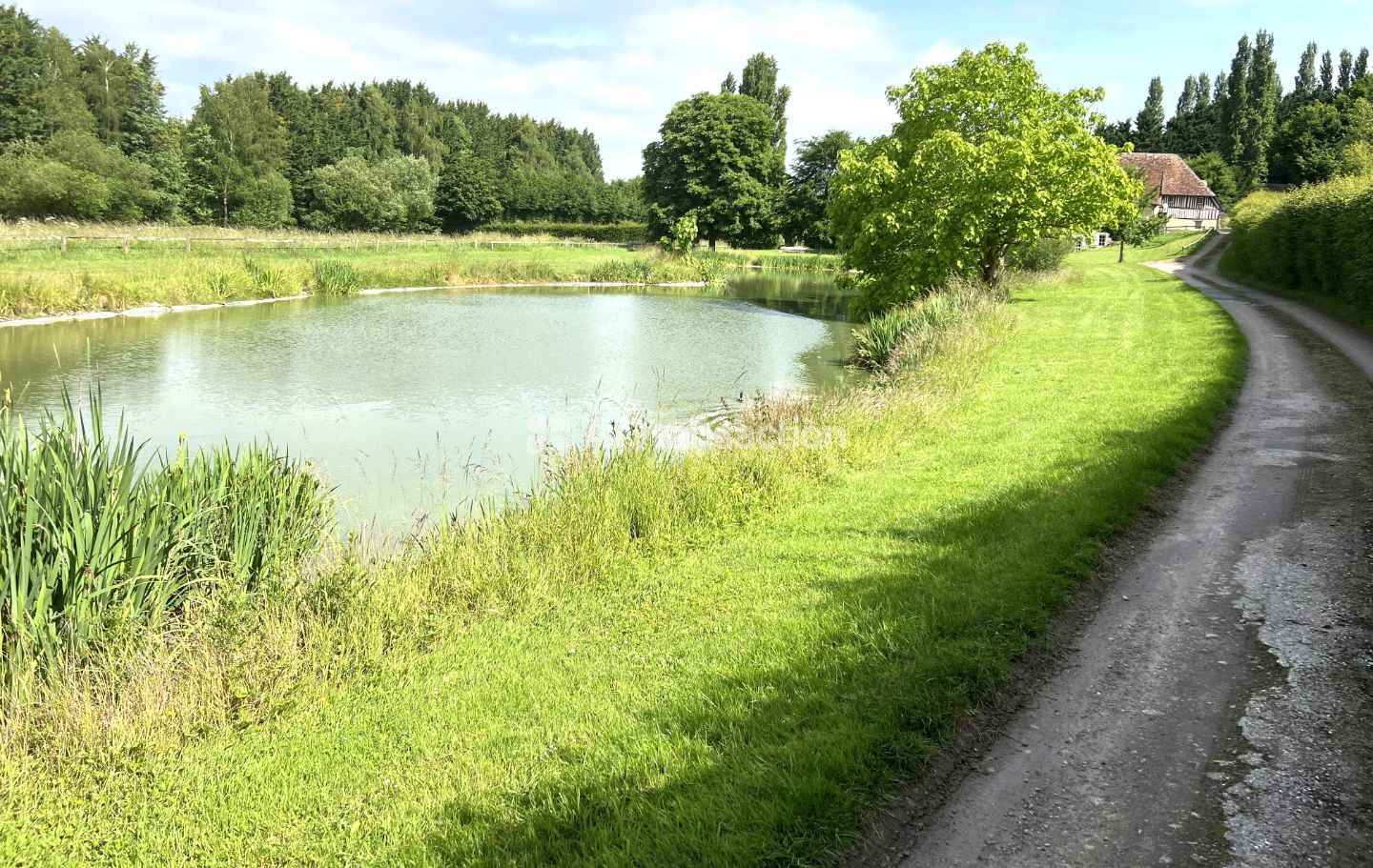 A vendre , Pont -l'Evêque ( 14130 ) , maison  418  m2 ,  24 ha