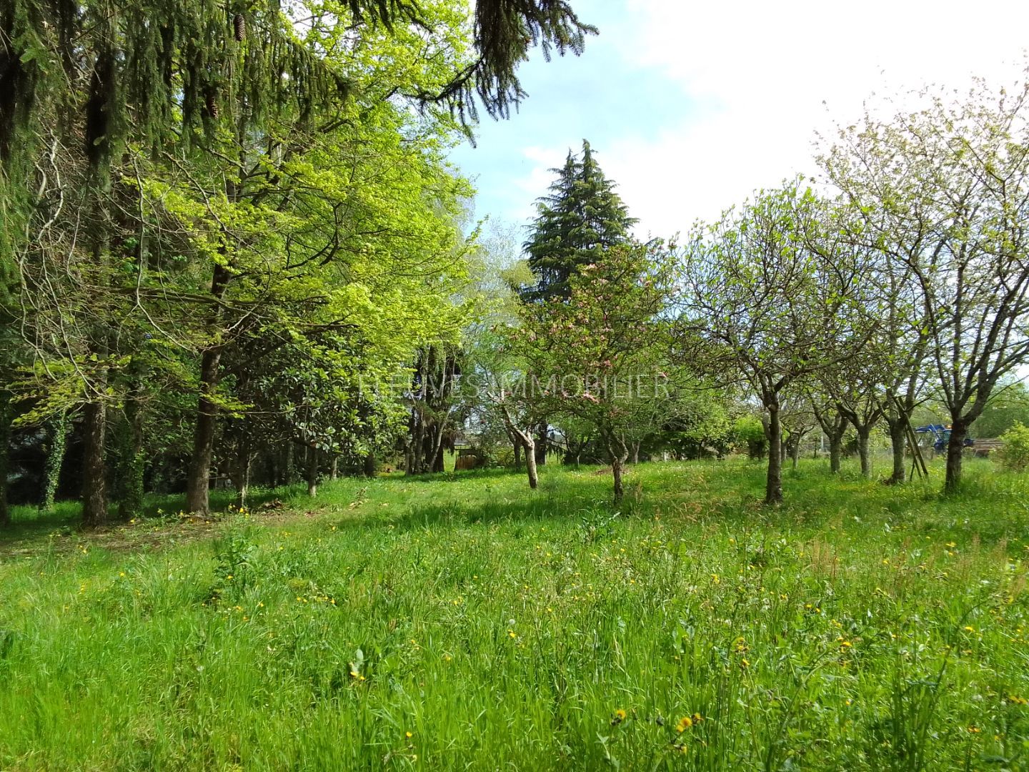 Maison à rénover à vendre  - 6 pièce(s) - 300m2 - Lucq-de-béarn (64360)