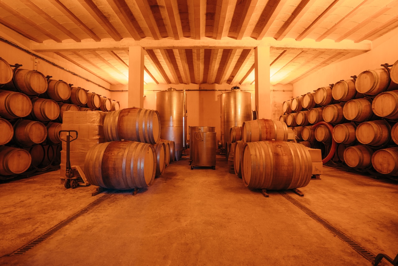 Domaine à vendre  - 9 pièce(s) - 400m2 - Villemoustaussou (11620)