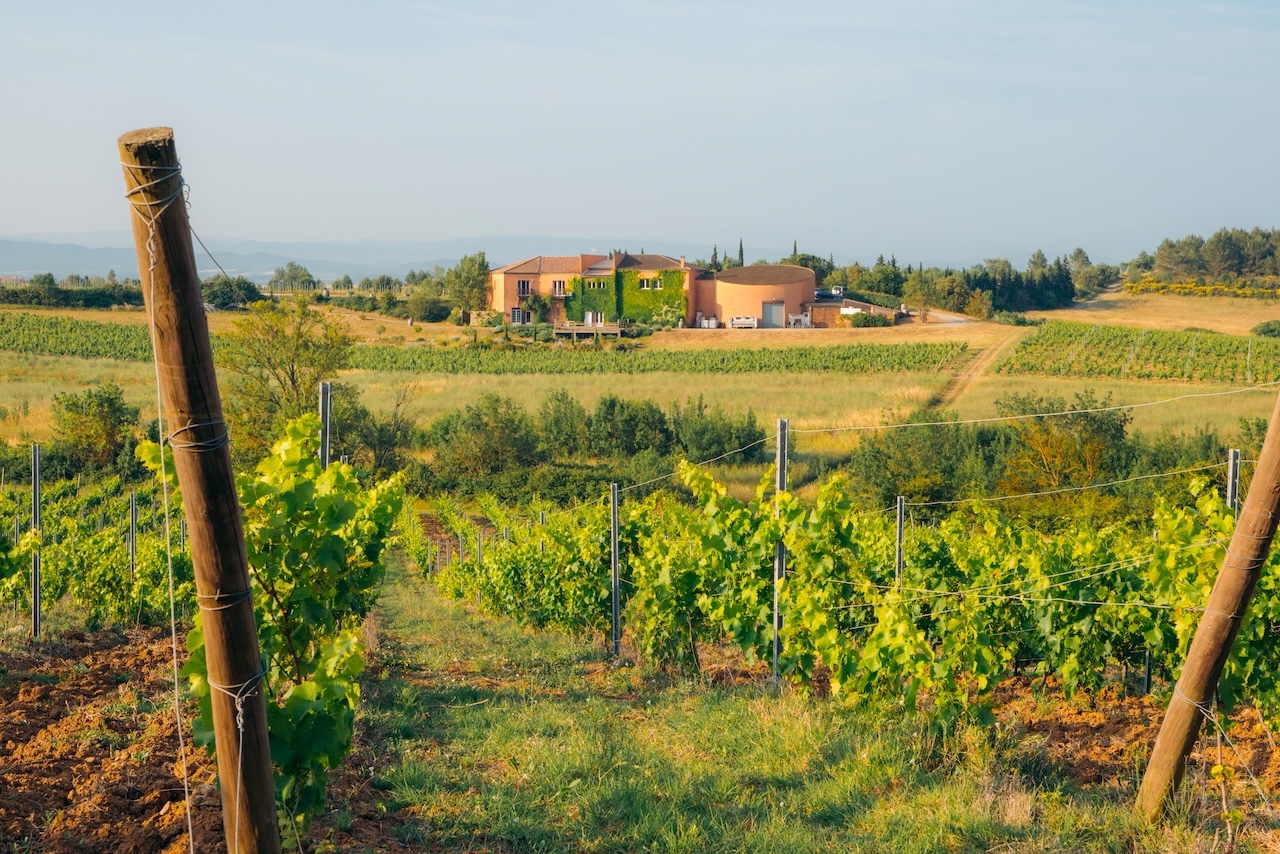 Domaine à vendre  - 9 pièce(s) - 400m2 - Villemoustaussou (11620)