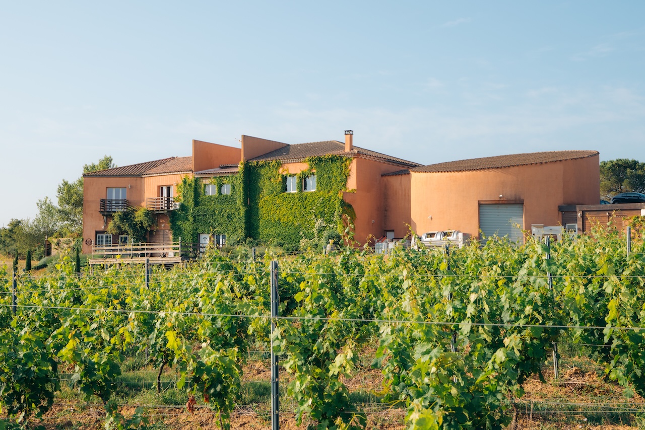 Domaine à vendre  - 9 pièce(s) - 400m2 - Villemoustaussou (11620)