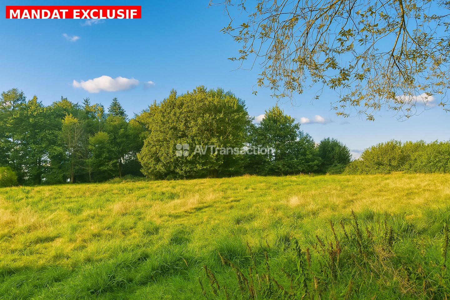 Terrain 2000 m2 à batir