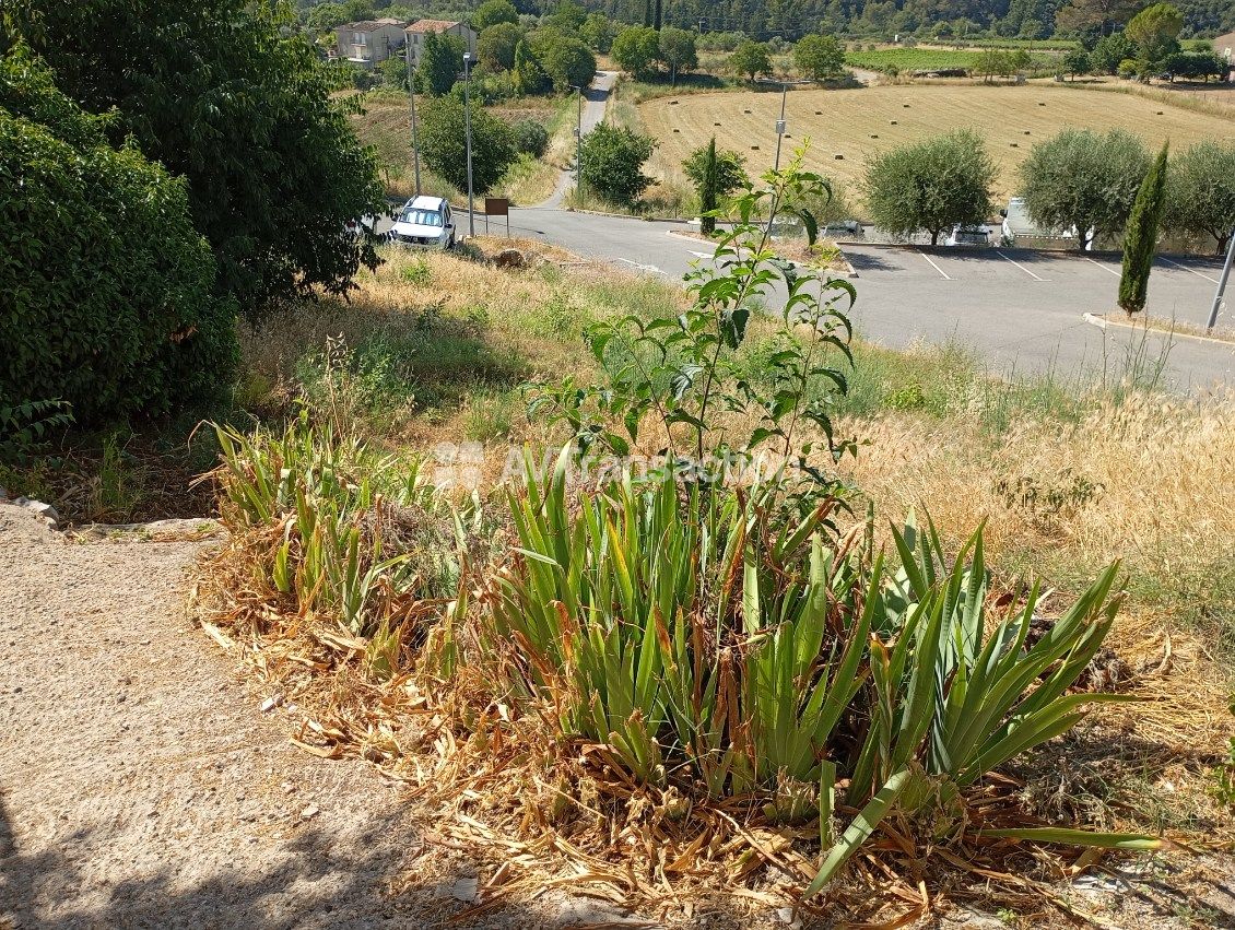 Appartement à louer  - 2 pièce(s) - 33m2 - Callas (83830)