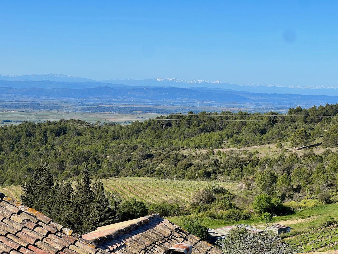 Maison à vendre  - 4 pièce(s) - 100m2 - Cesseras (34210)