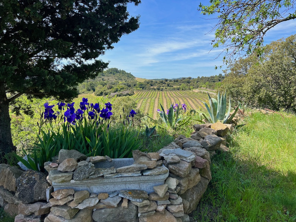 Maison à vendre  - 4 pièce(s) - 100m2 - Cesseras (34210)