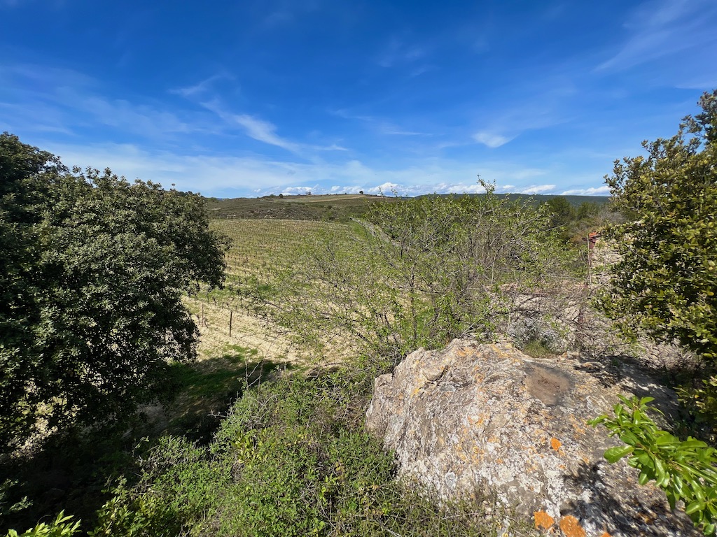 Maison à vendre  - 4 pièce(s) - 100m2 - Cesseras (34210)