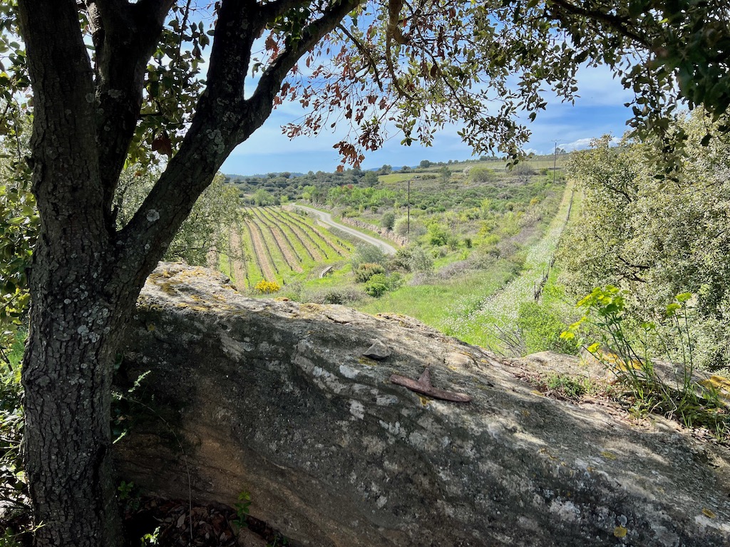 Maison à vendre  - 4 pièce(s) - 100m2 - Cesseras (34210)