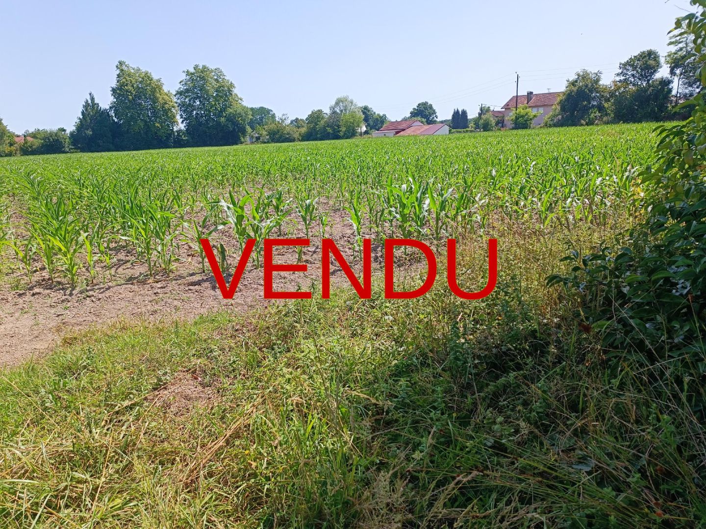  VENDU ! TERRAIN CONSTRUCTIBLE DE 1606 M² QUARTIER CALME