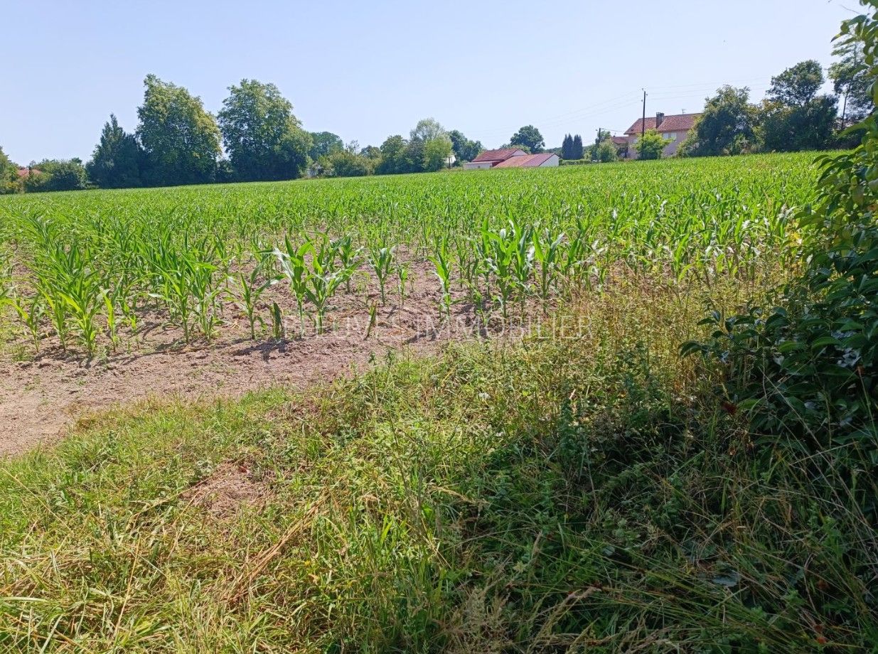 Terrain constructible à vendre  - 1606m2 - Gurs (64190)
