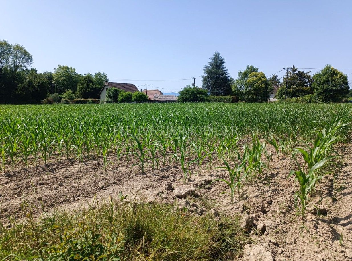 Terrain constructible à vendre  - 1606m2 - Gurs (64190)