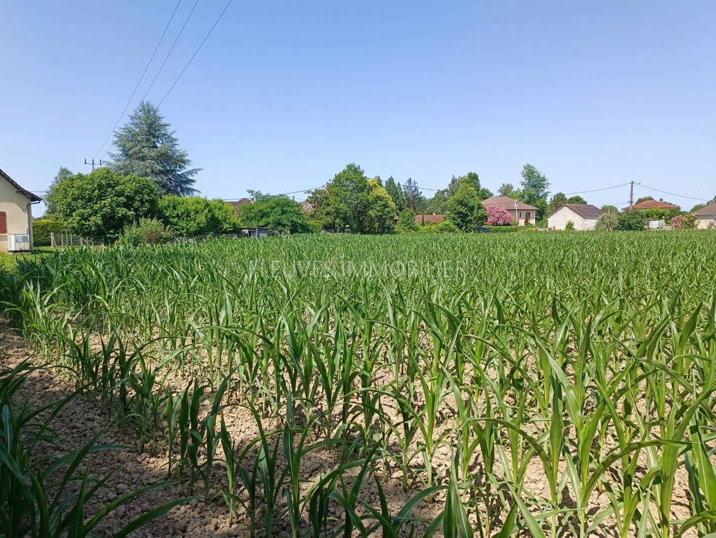 Terrain constructible à vendre  - 1606m2 - Gurs (64190)