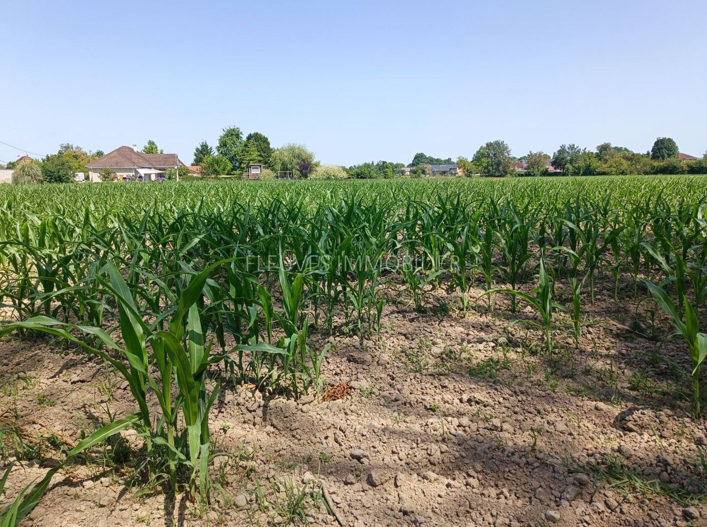 Terrain constructible à vendre  - 1507m2 - Gurs (64190)