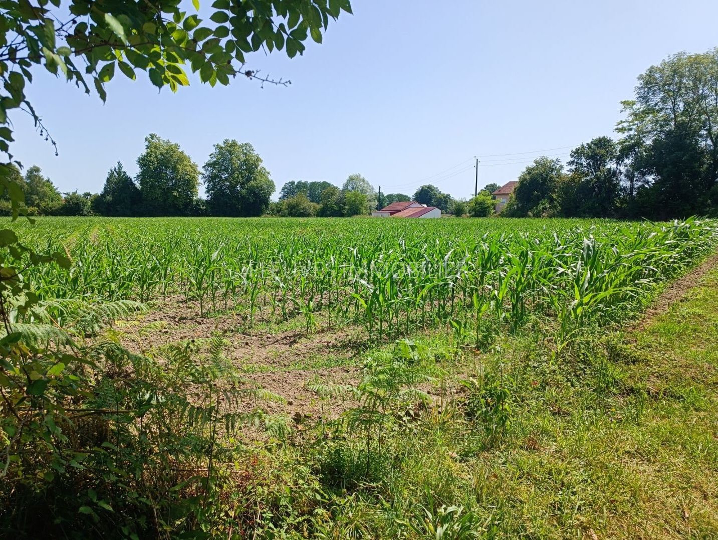 Terrain constructible à vendre  - 1507m2 - Gurs (64190)