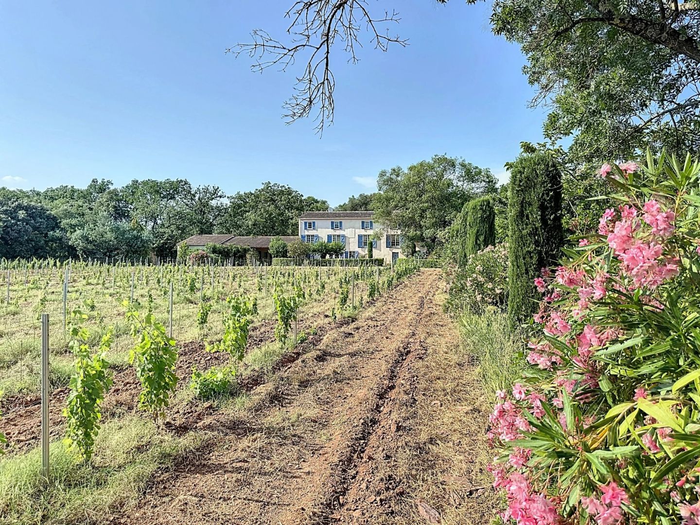 Domaine à vendre  - 14 pièce(s) - 630m2 - Le Cannet-des-maures (83340)