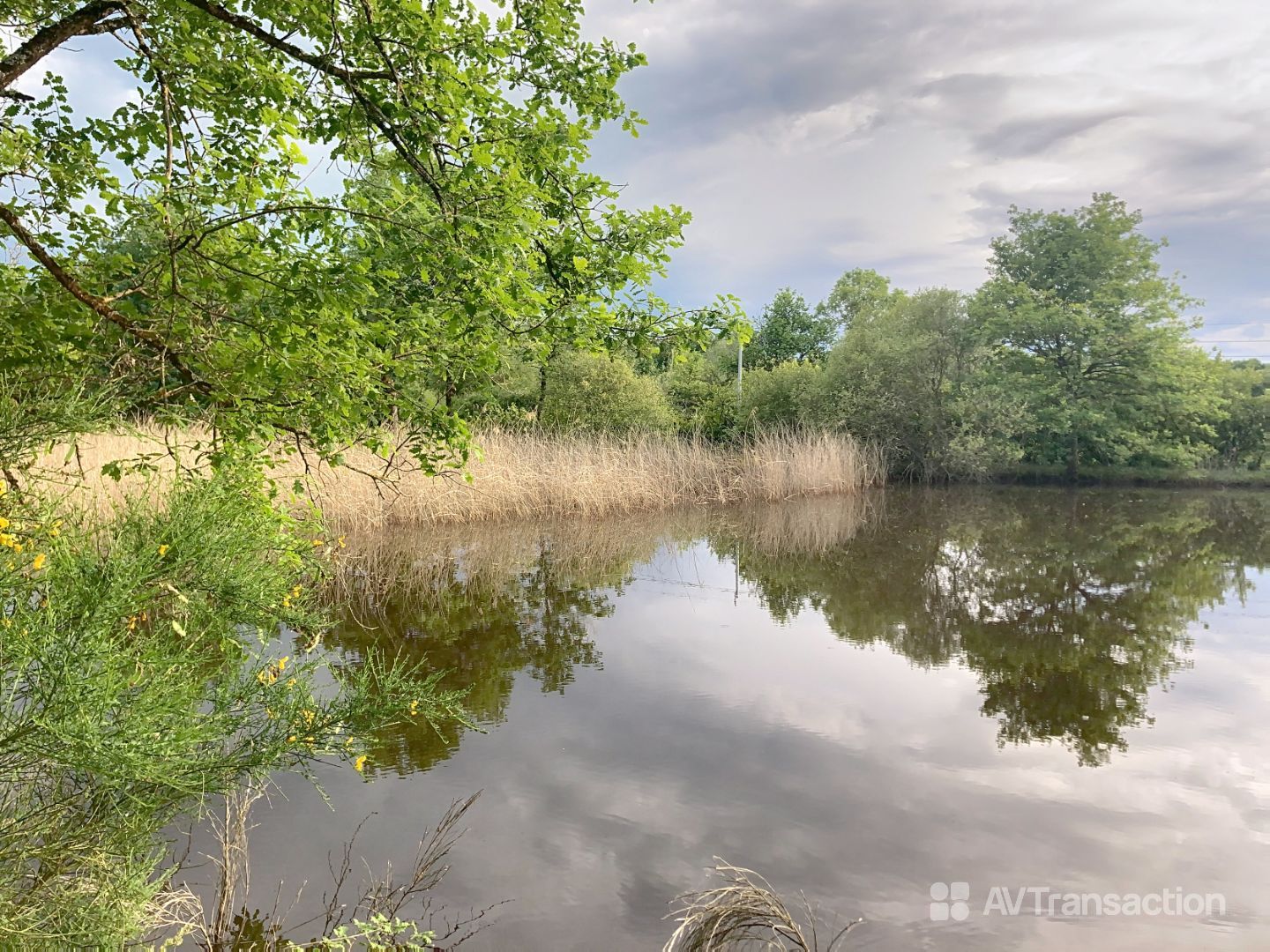 Terrain de loisir à vendre  - 2 pièce(s) - 27m2 - Saint-michel-en-brenne (36290)