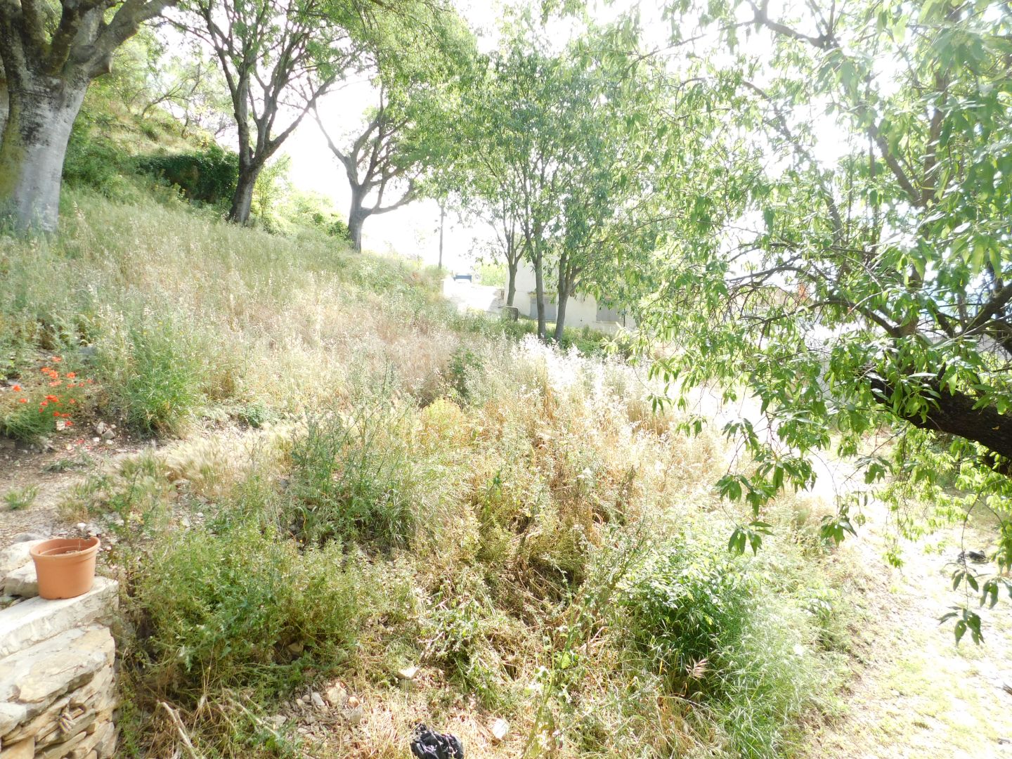 Maison à vendre  - 4 pièce(s) - 74m2 - Signes (83870)