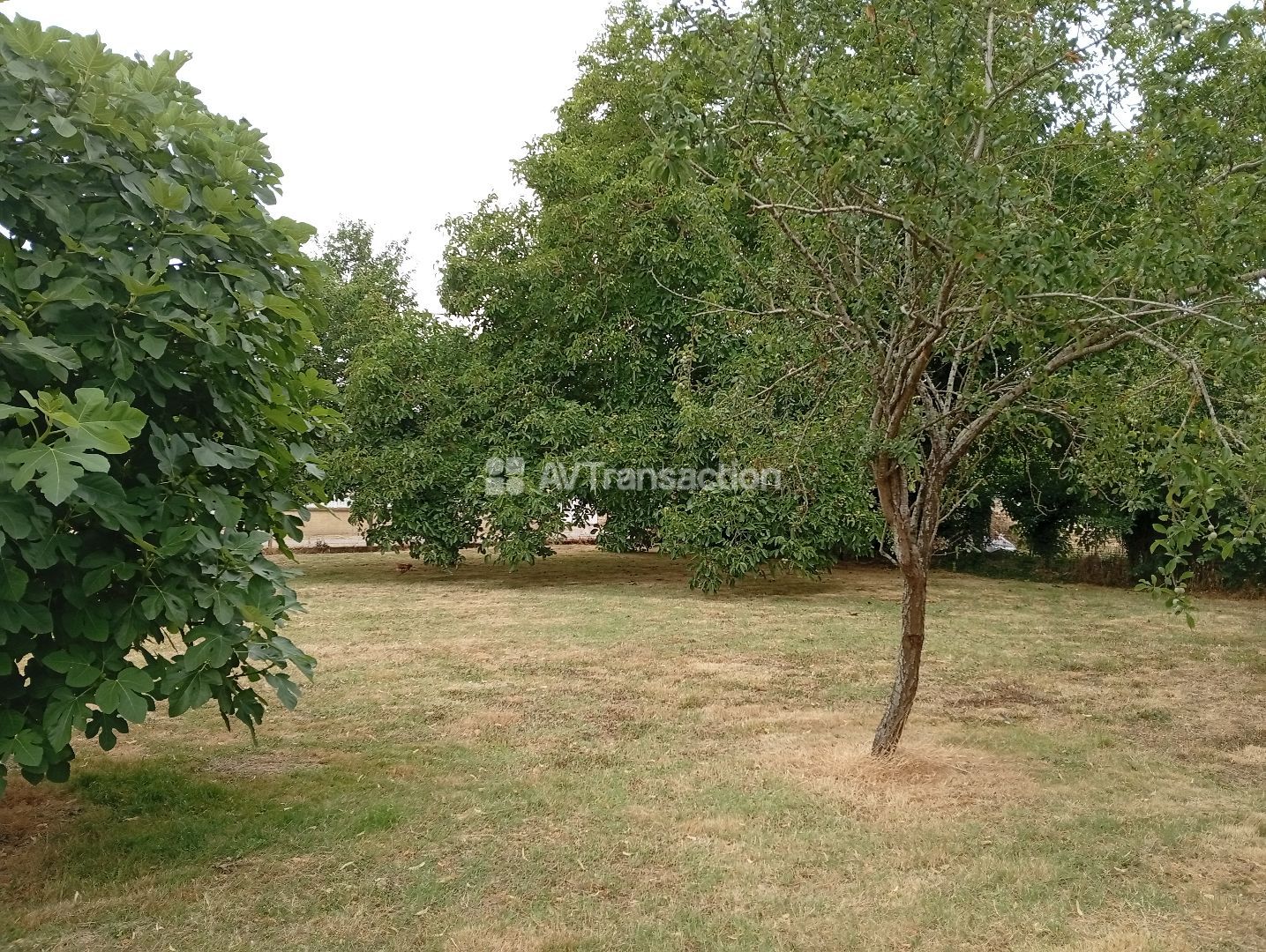 Terrain constructible à vendre  - 1500m2 - Amberre (86110)