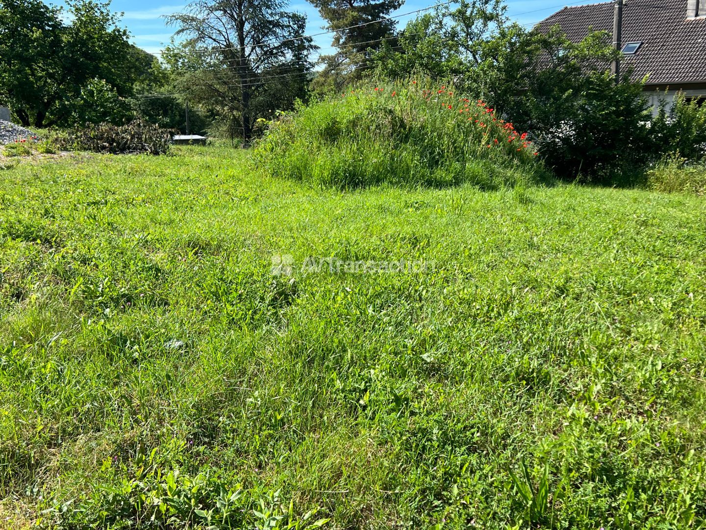 Terrain constructible